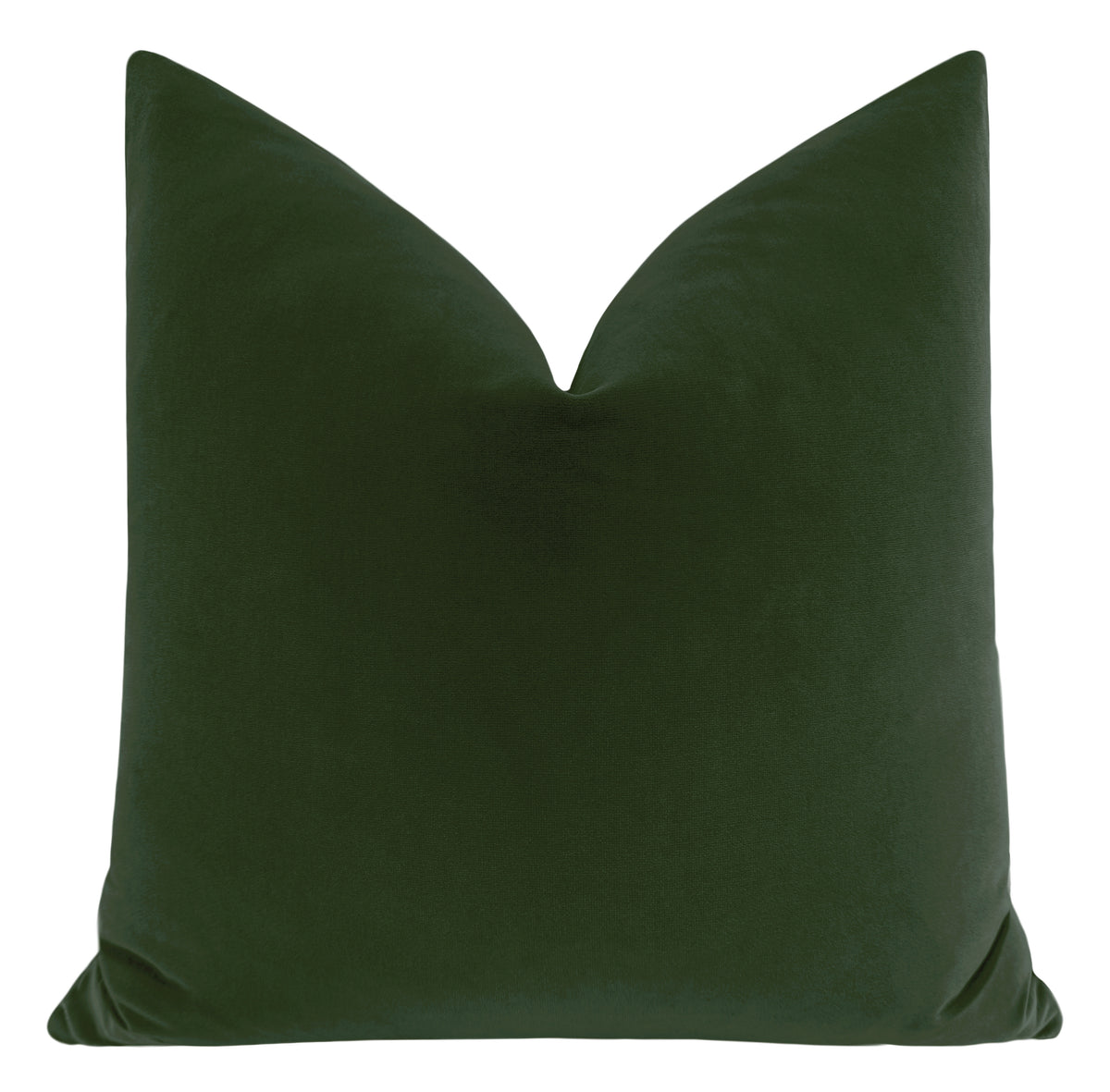 SIGNATURE VELVET // FERN