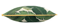 OUTDOOR : PALM LEAF // ORIGINAL