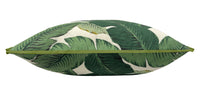 OUTDOOR : PALM LEAF // ORIGINAL