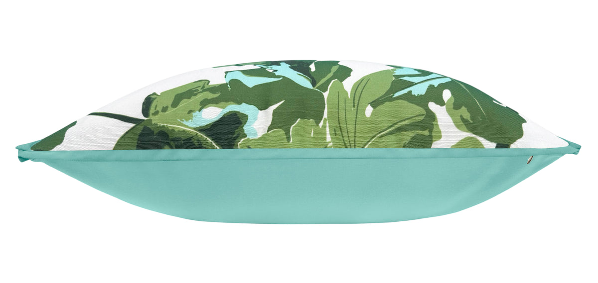 OUTDOOR : FIG LEAF // ORIGINAL ON WHITE | PETER DUNHAM