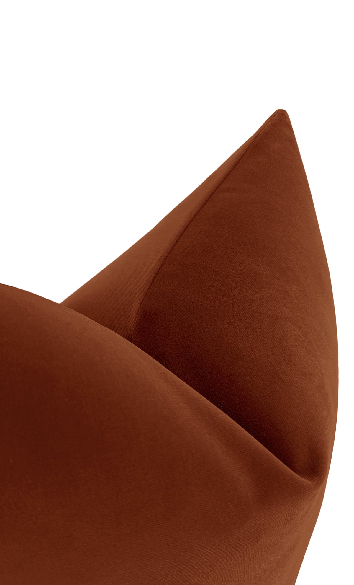 SIGNATURE VELVET // AMBER