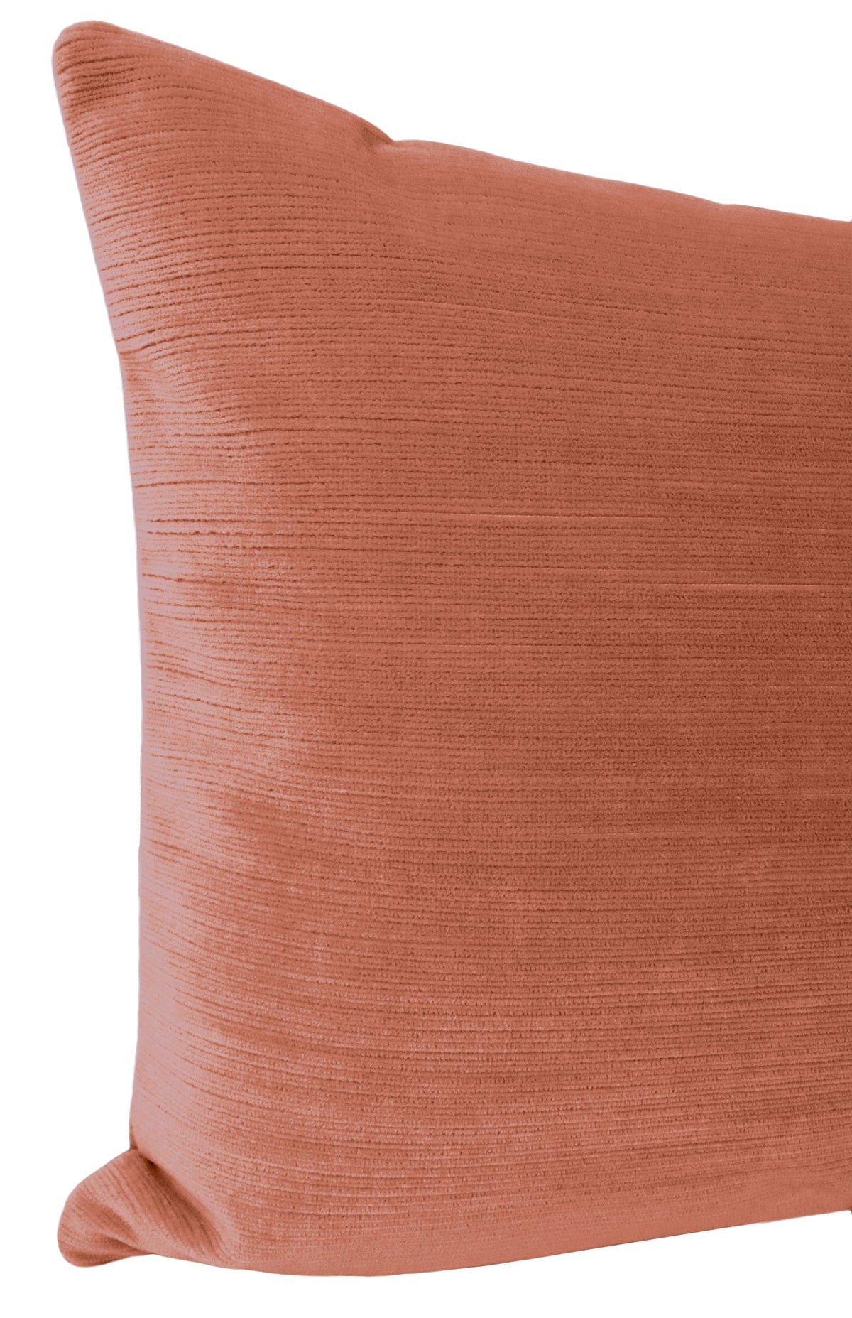 THE XL LUMBAR :: STRIE VELVET // BLUSH