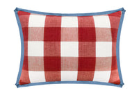 THE MINI :: CHARLESTON CHECK // APPLE RED