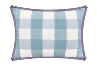 THE MINI :: CHARLESTON CHECK // POWDER BLUE