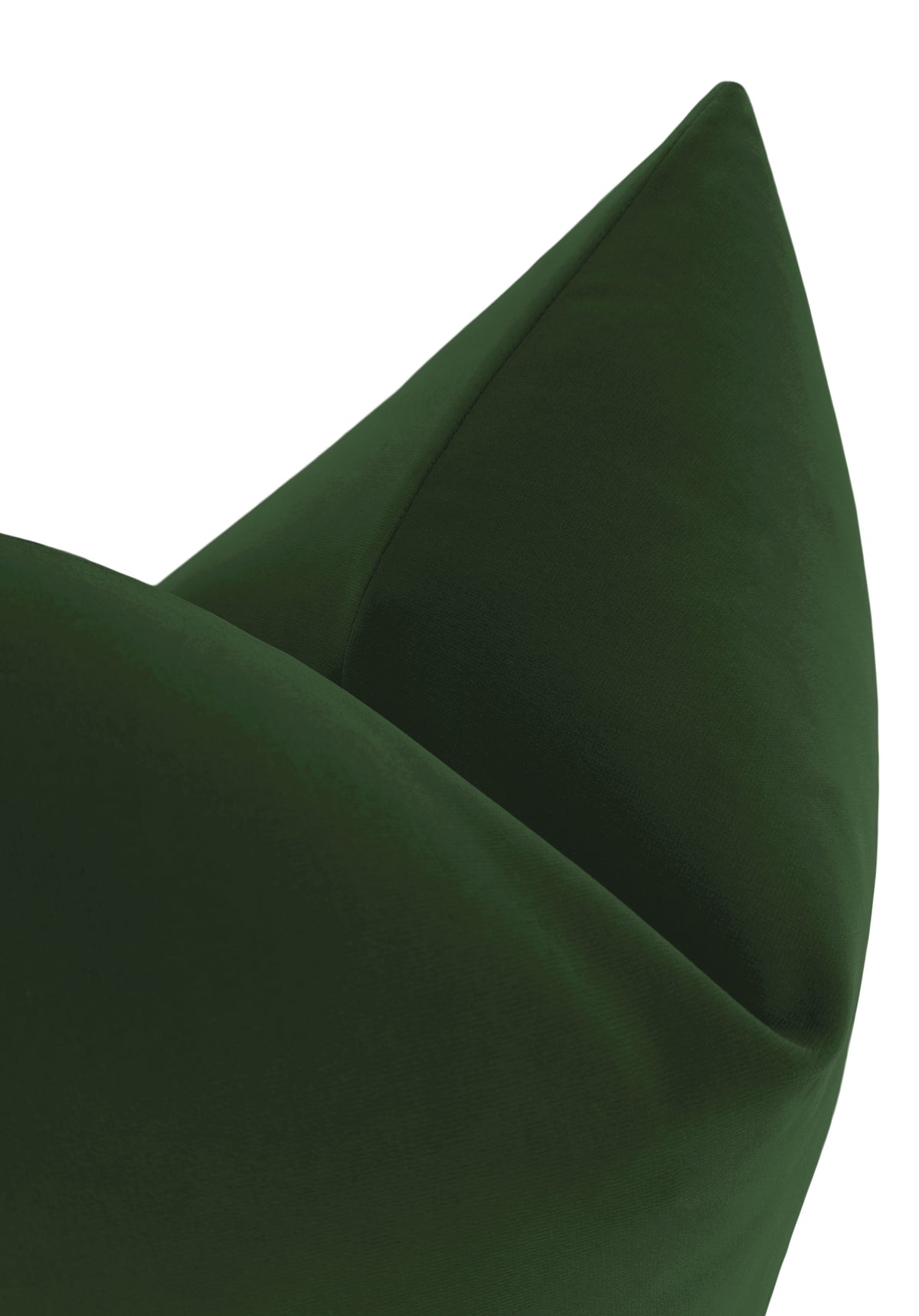 SIGNATURE VELVET // FERN