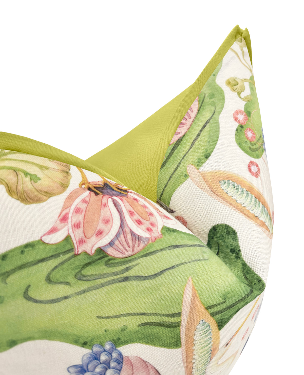 FANCY FLOCK | HOUSE OF HARRIS