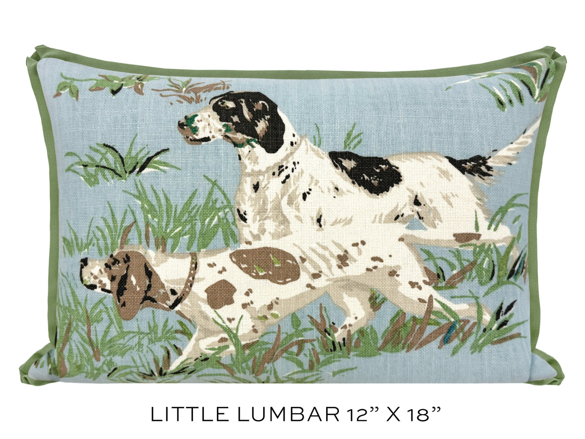 POINTERS // SKY | SCHUMACHER