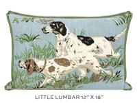 POINTERS // SKY | SCHUMACHER