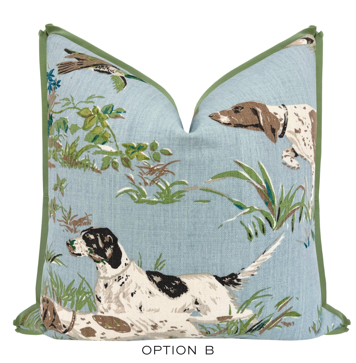 POINTERS // SKY | SCHUMACHER