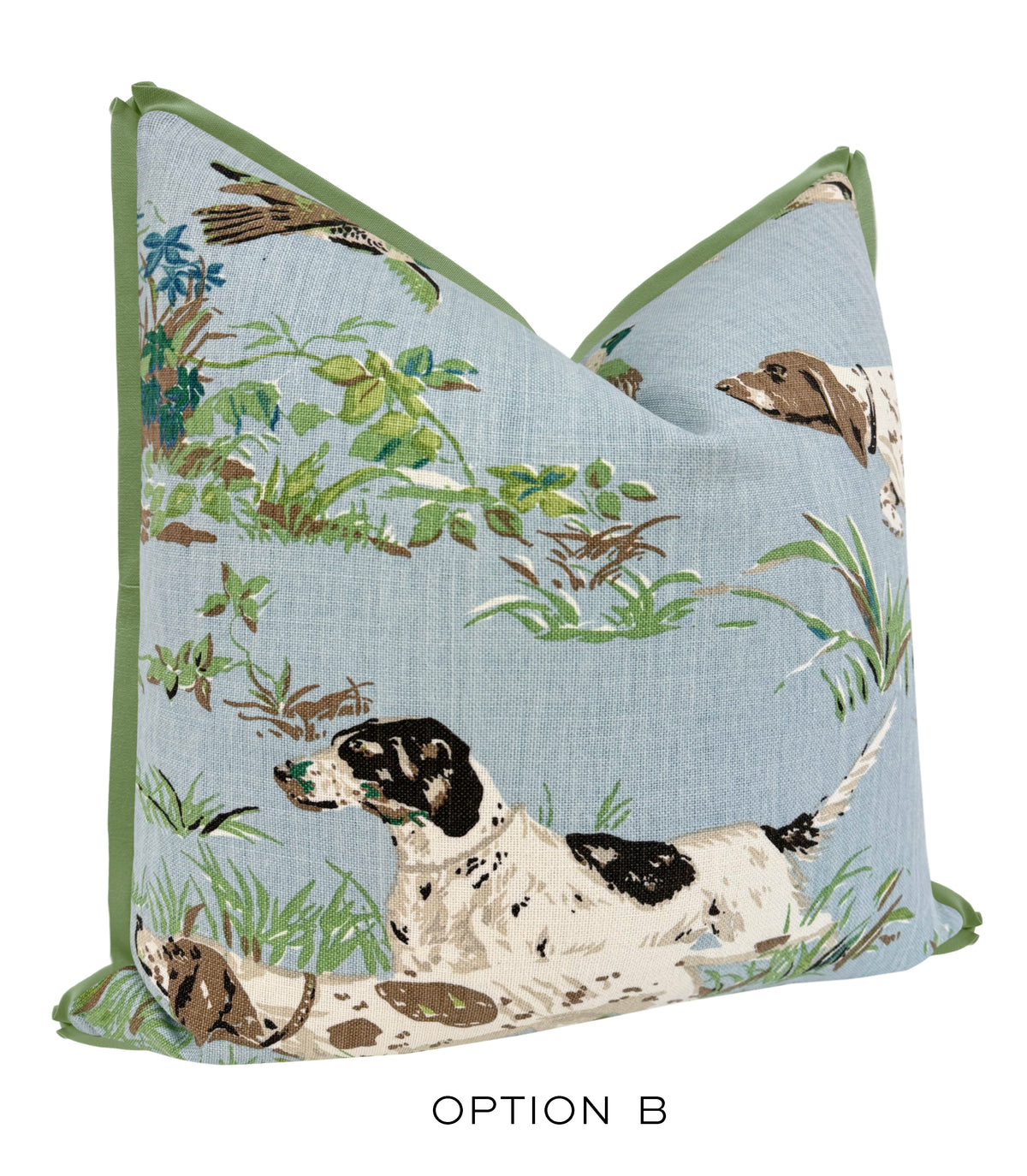 POINTERS // SKY | SCHUMACHER