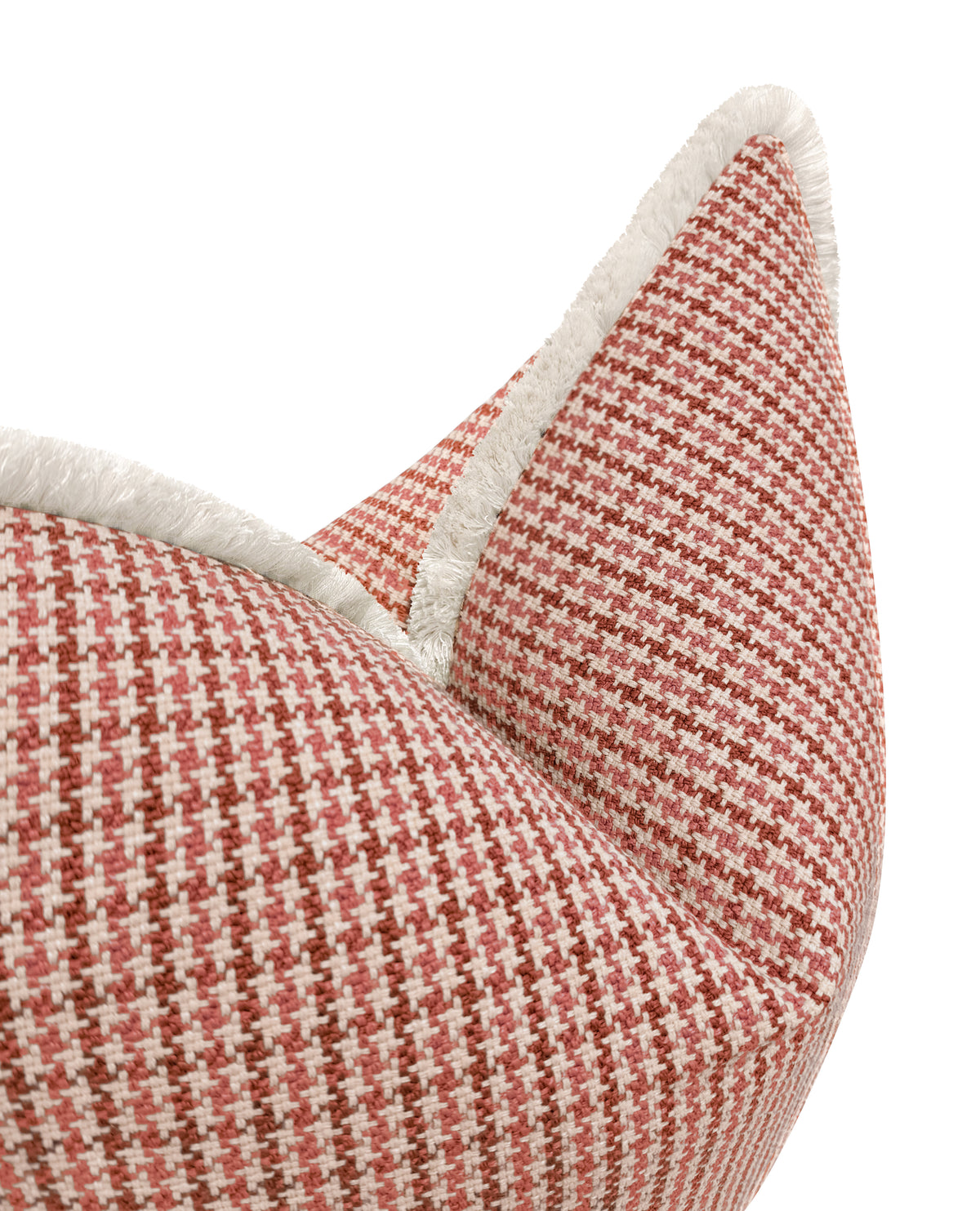SCOTTIE // RHUBARB | LDC