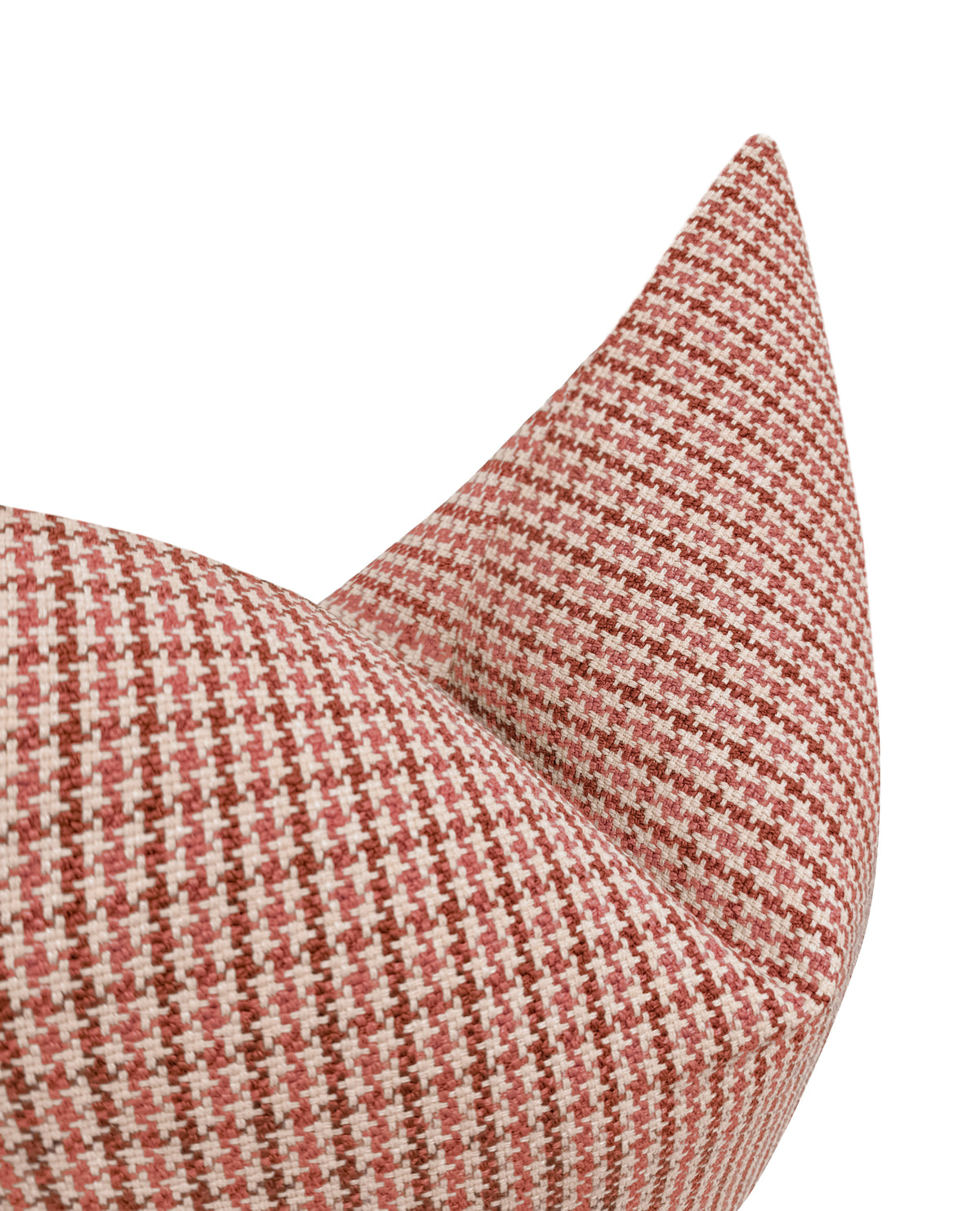 SCOTTIE // RHUBARB