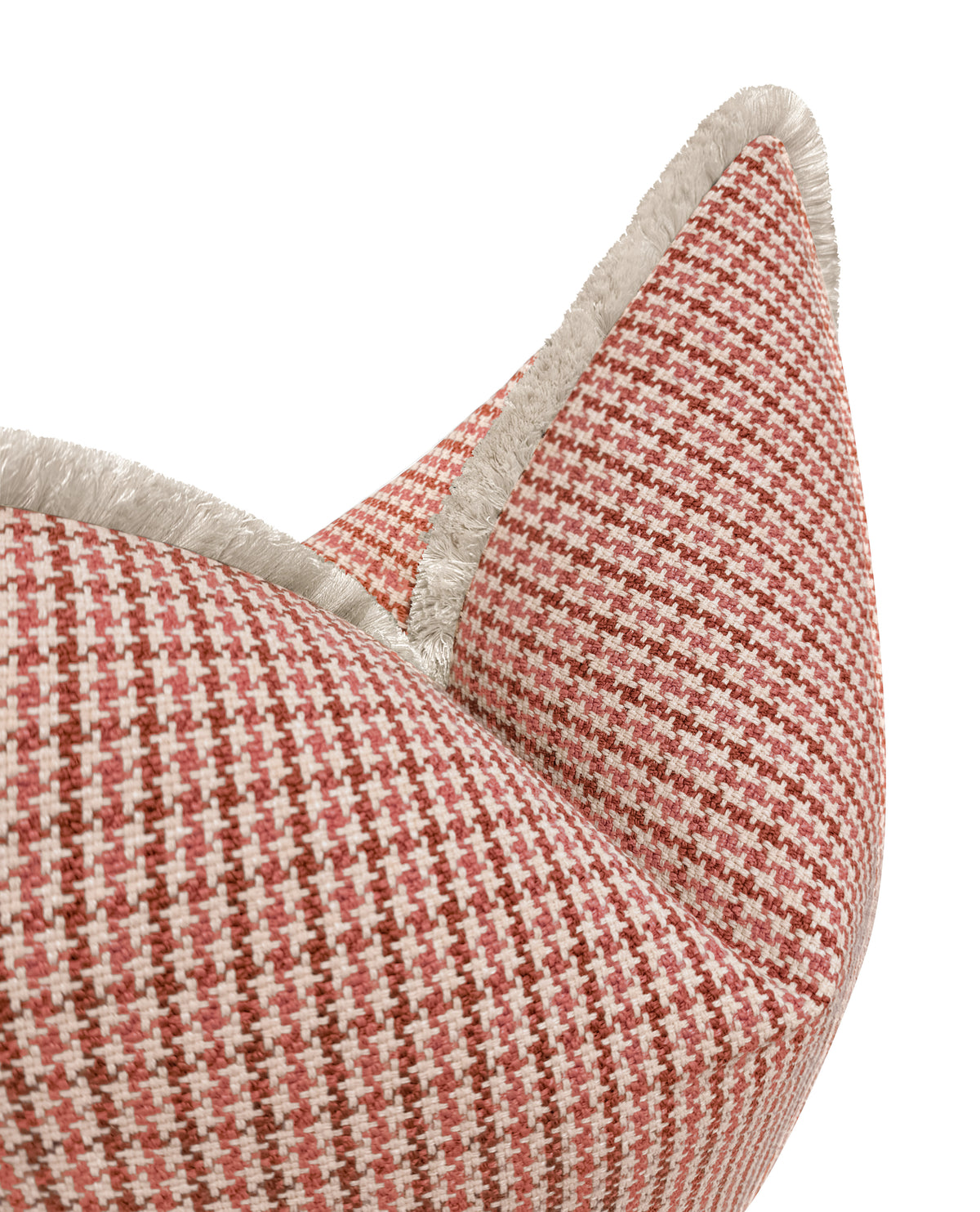SCOTTIE // RHUBARB | LDC