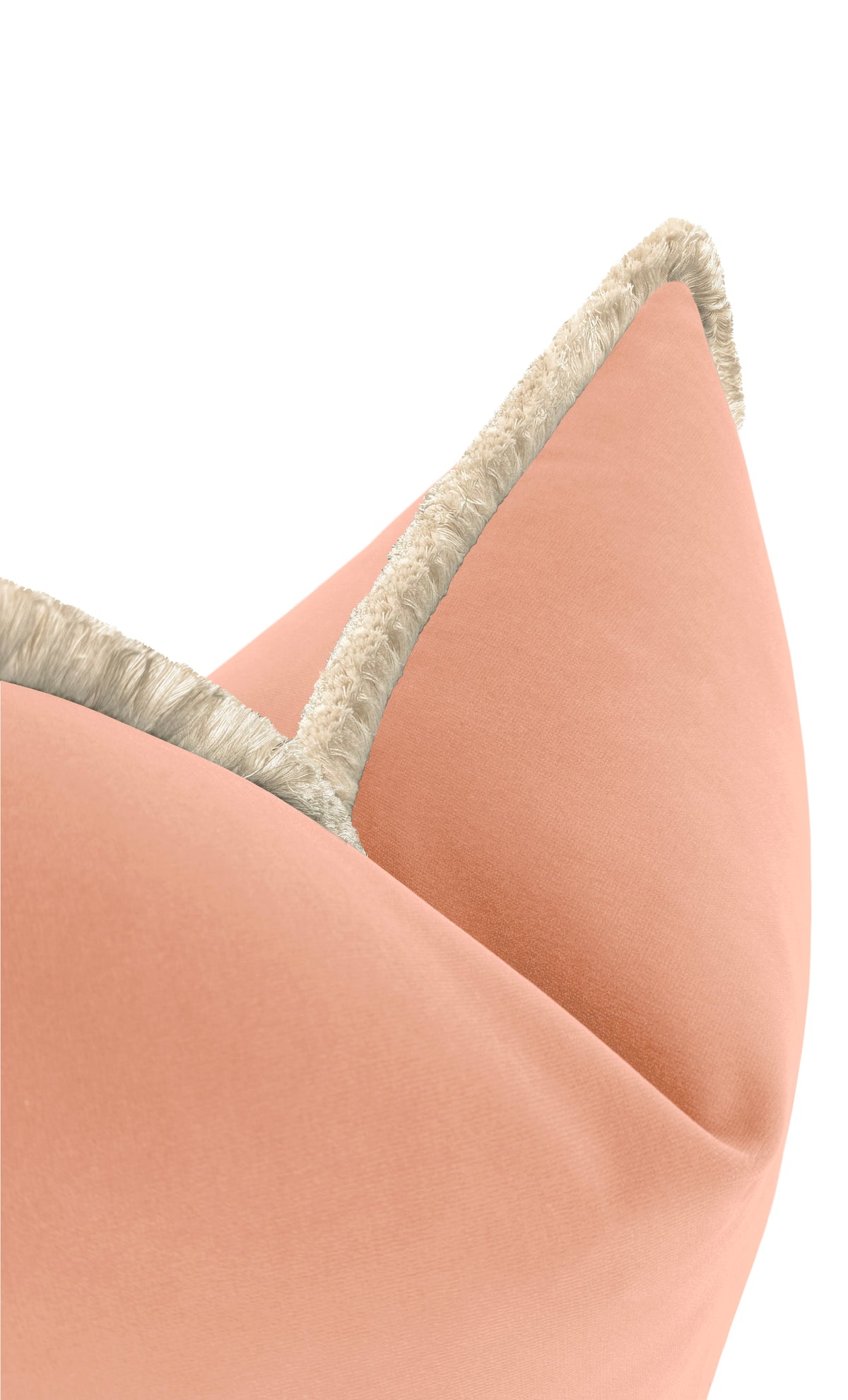 SIGNATURE VELVET // CHIFFON