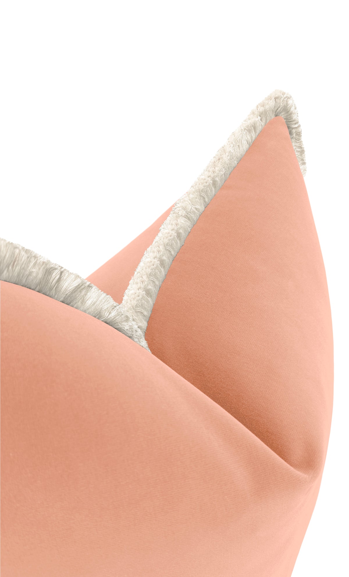 SIGNATURE VELVET // CHIFFON
