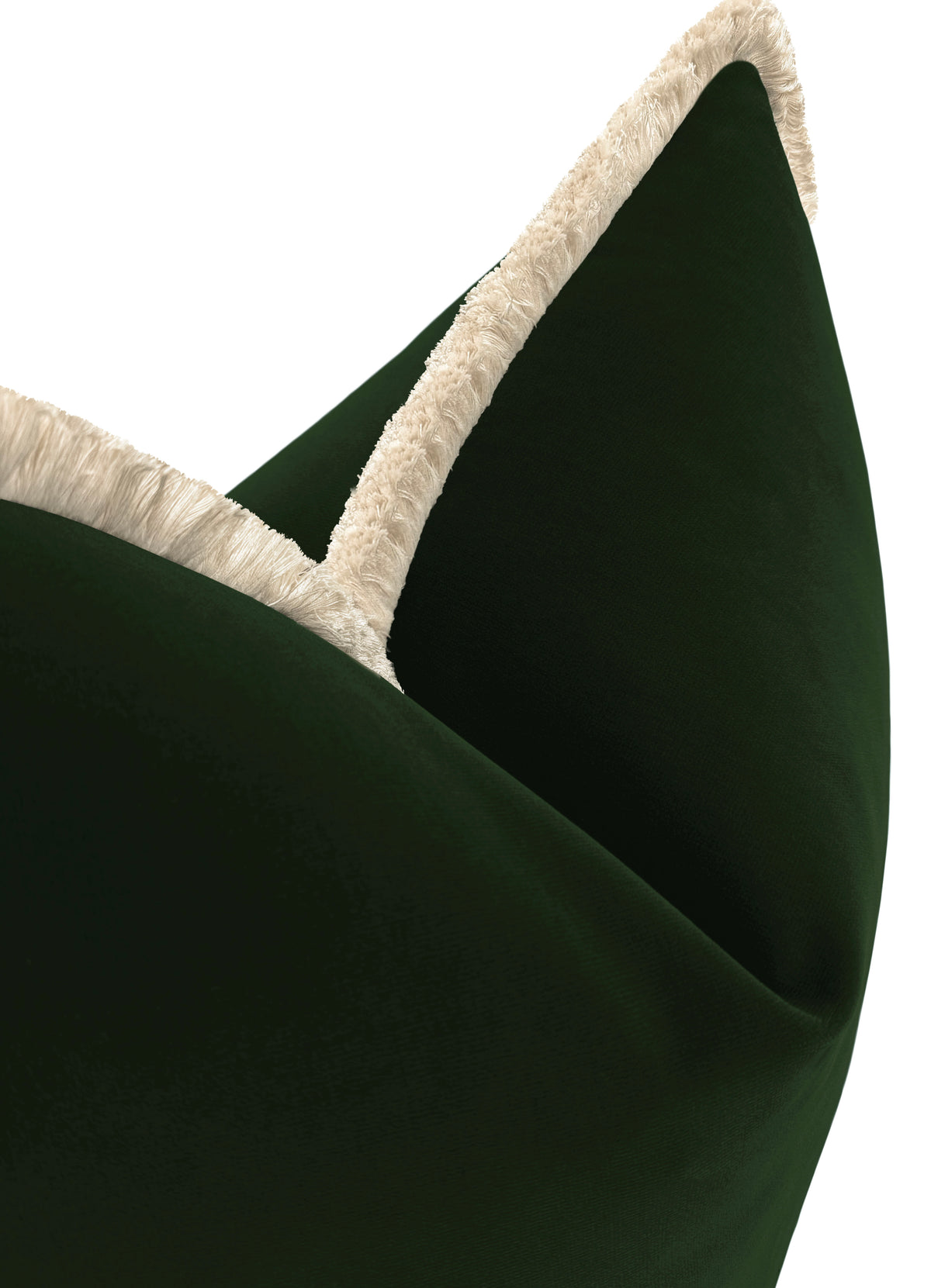 SIGNATURE VELVET // FERN