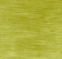 FABRIC BY THE YARD : STRIE VELVET