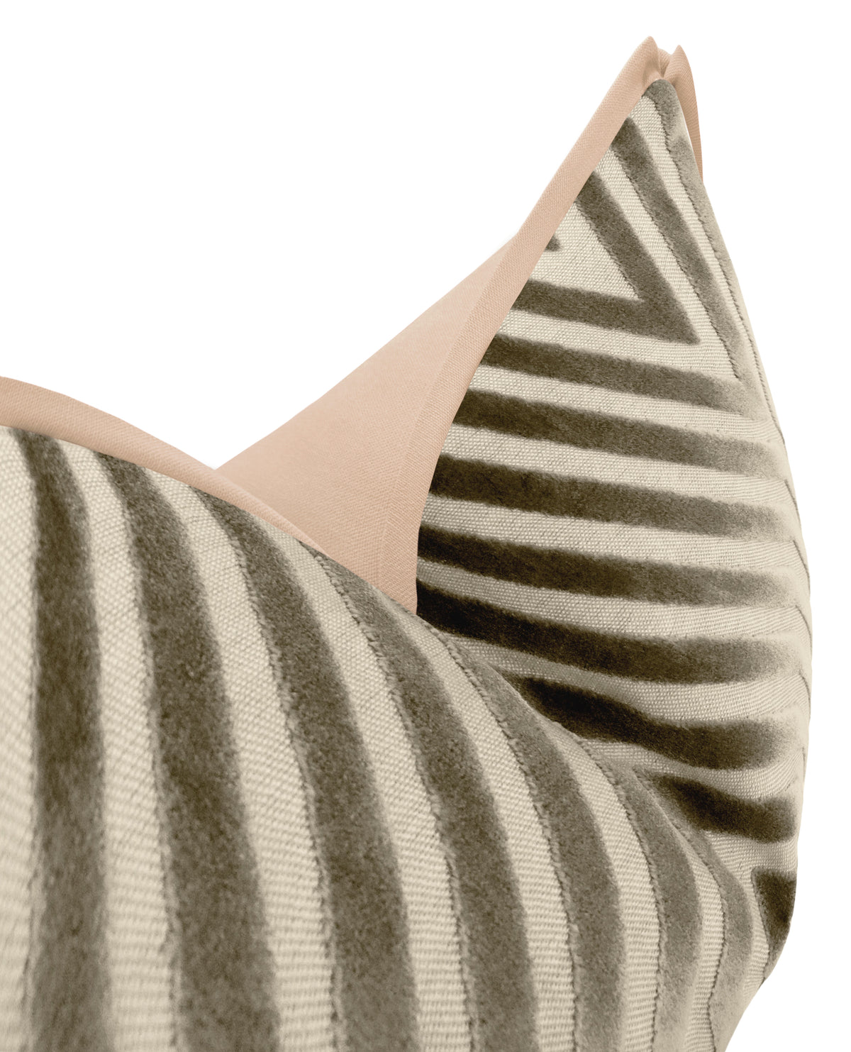 VANDERBILT // DOVE | SCHUMACHER