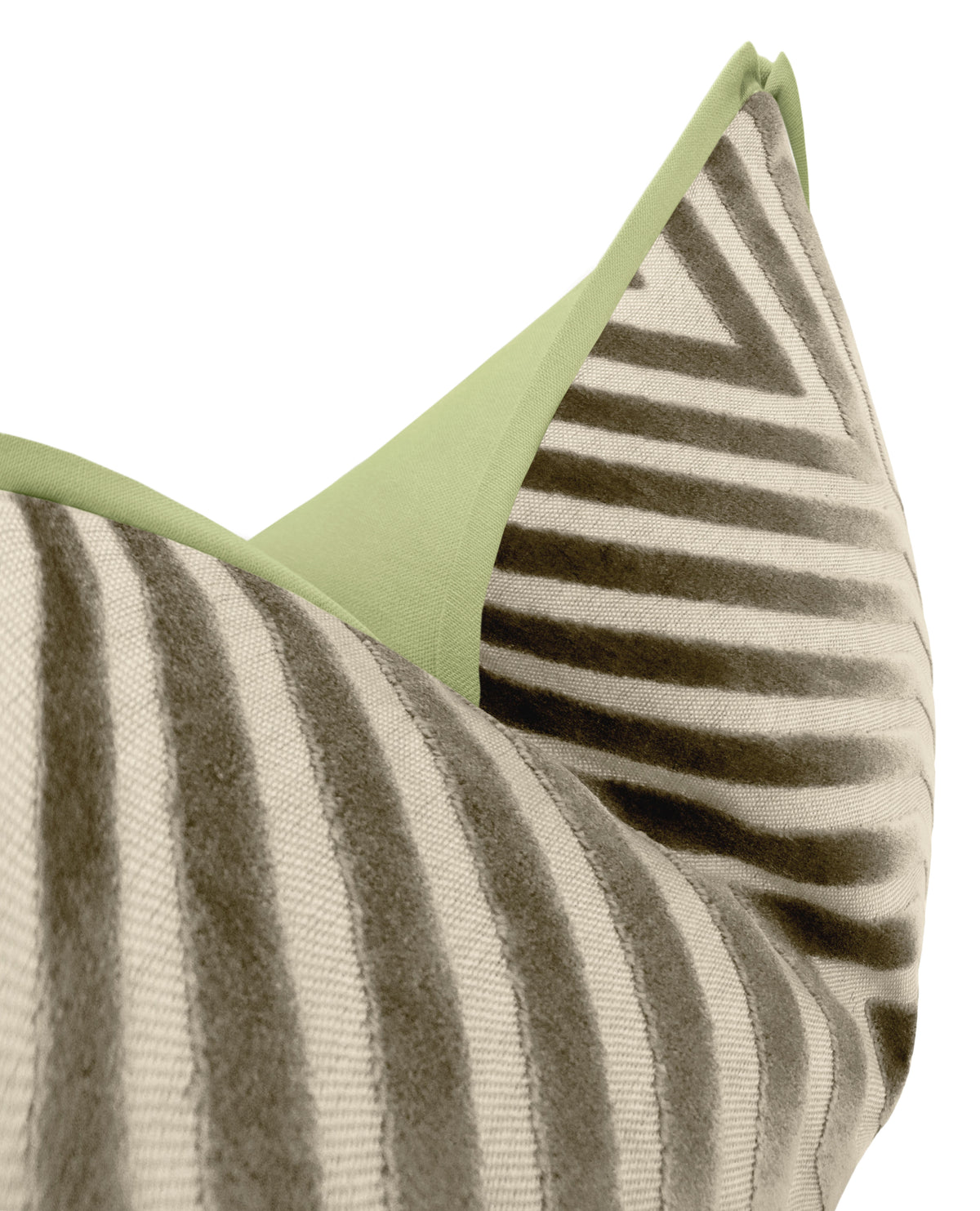 VANDERBILT // DOVE | SCHUMACHER