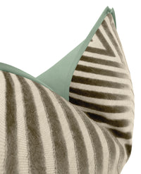 VANDERBILT // DOVE | SCHUMACHER