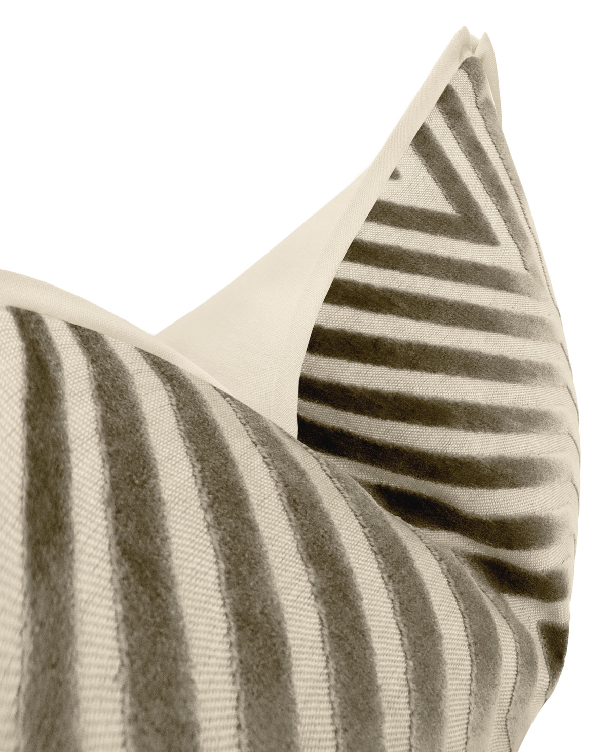 VANDERBILT // DOVE | SCHUMACHER