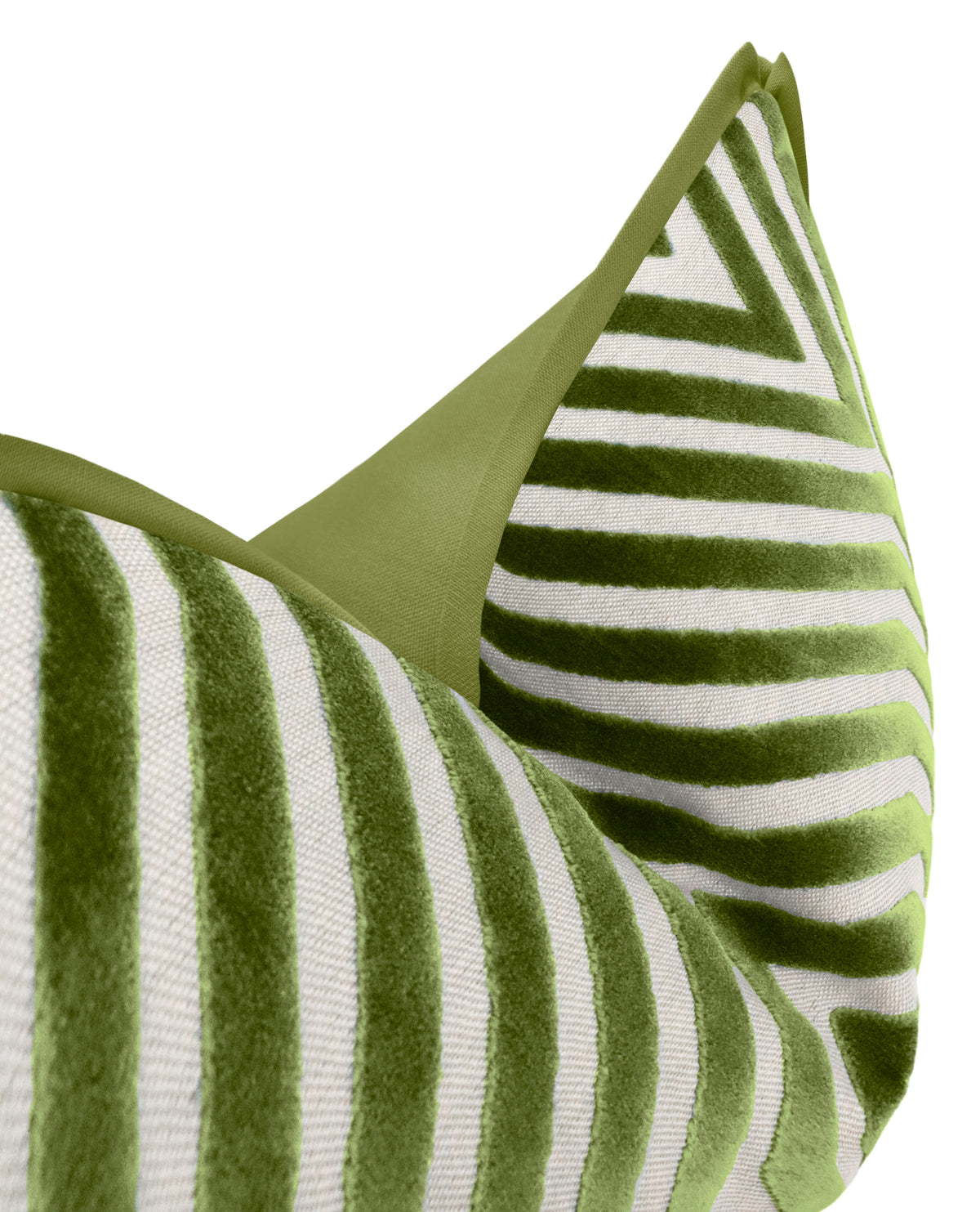 VANDERBILT // LETTUCE | SCHUMACHER