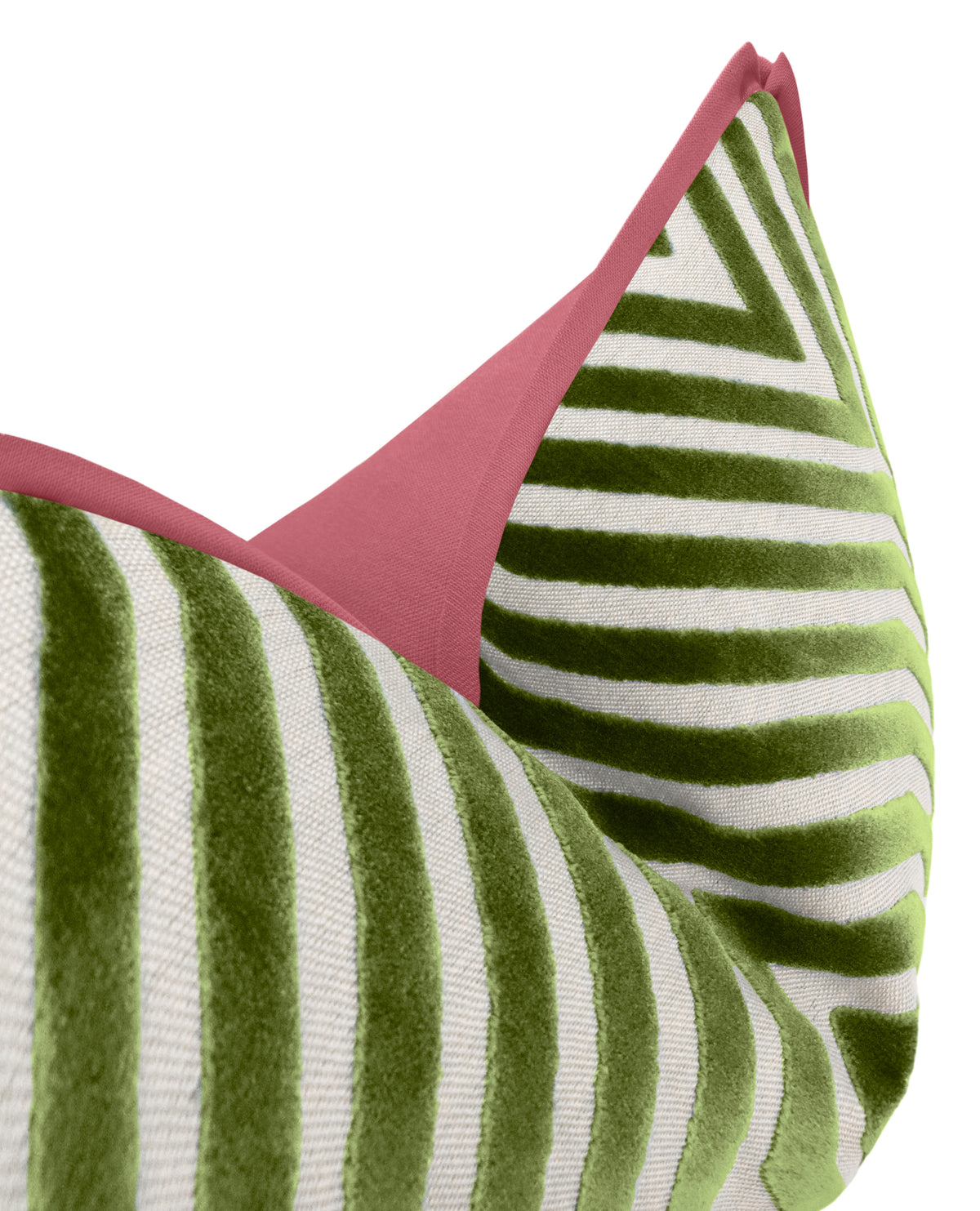 VANDERBILT // LETTUCE | SCHUMACHER