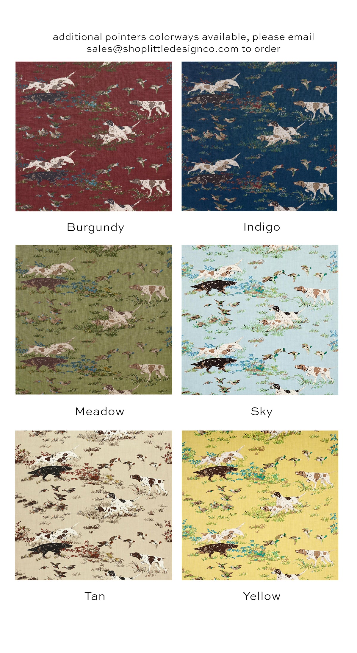 POINTERS // SKY | SCHUMACHER