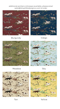 POINTERS // SKY | SCHUMACHER