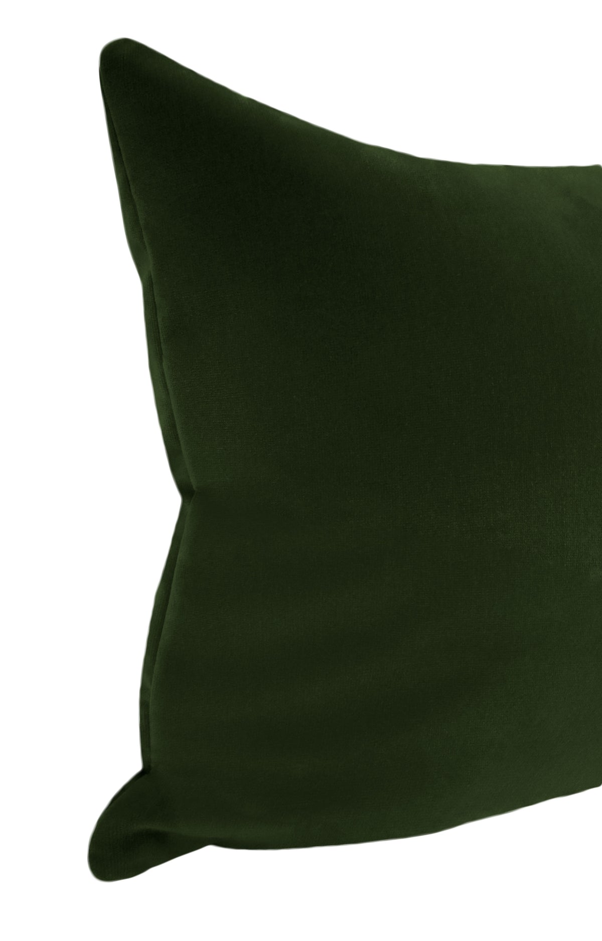 THE XL LUMBAR :: STUDIO VELVET // FERN