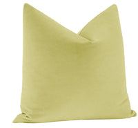 STUDIO VELVET // CELADON